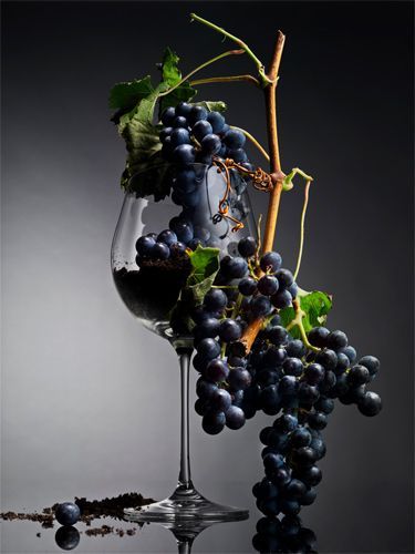 Where does alcohol come from in wine.