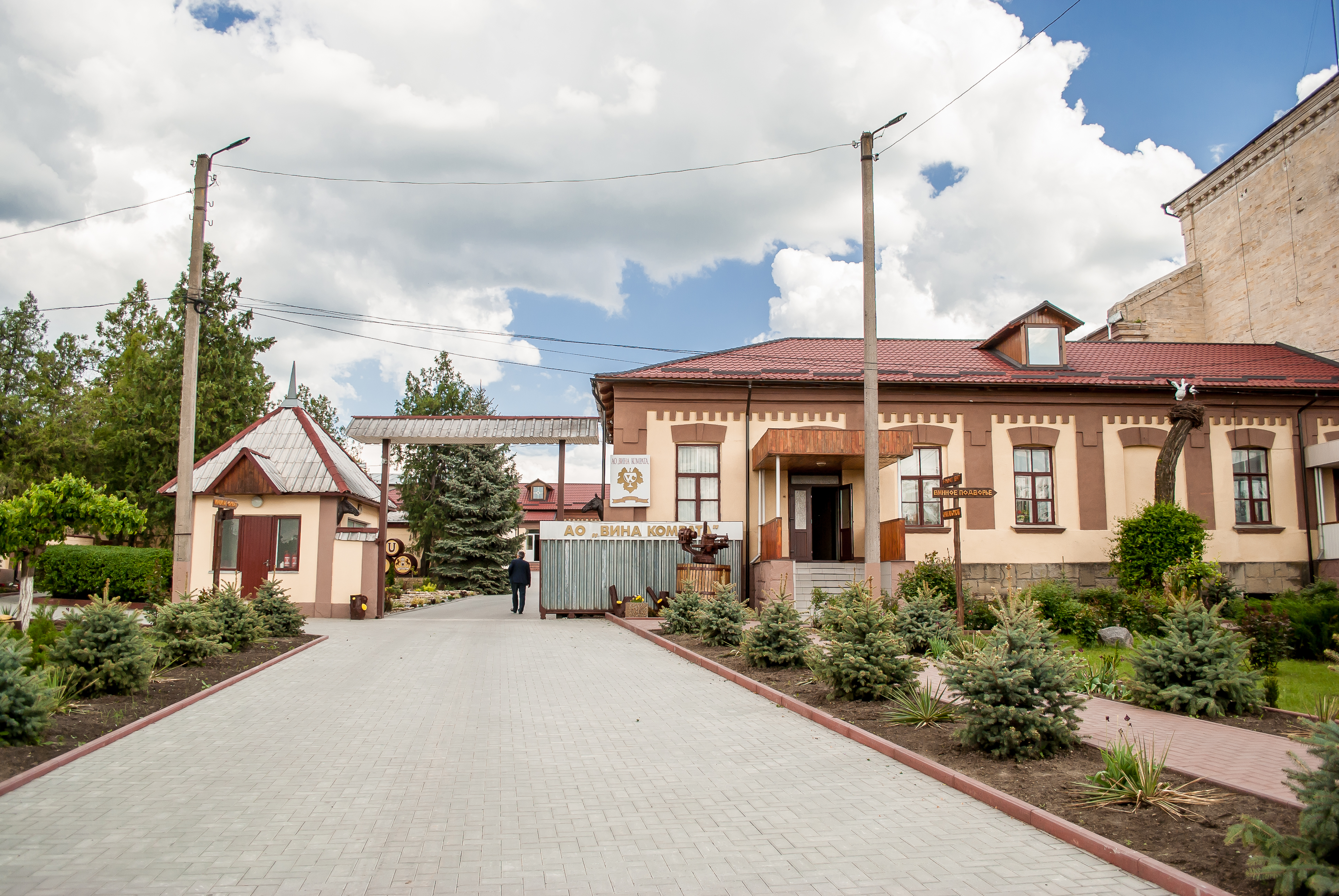 History of the company Comrat Wines 