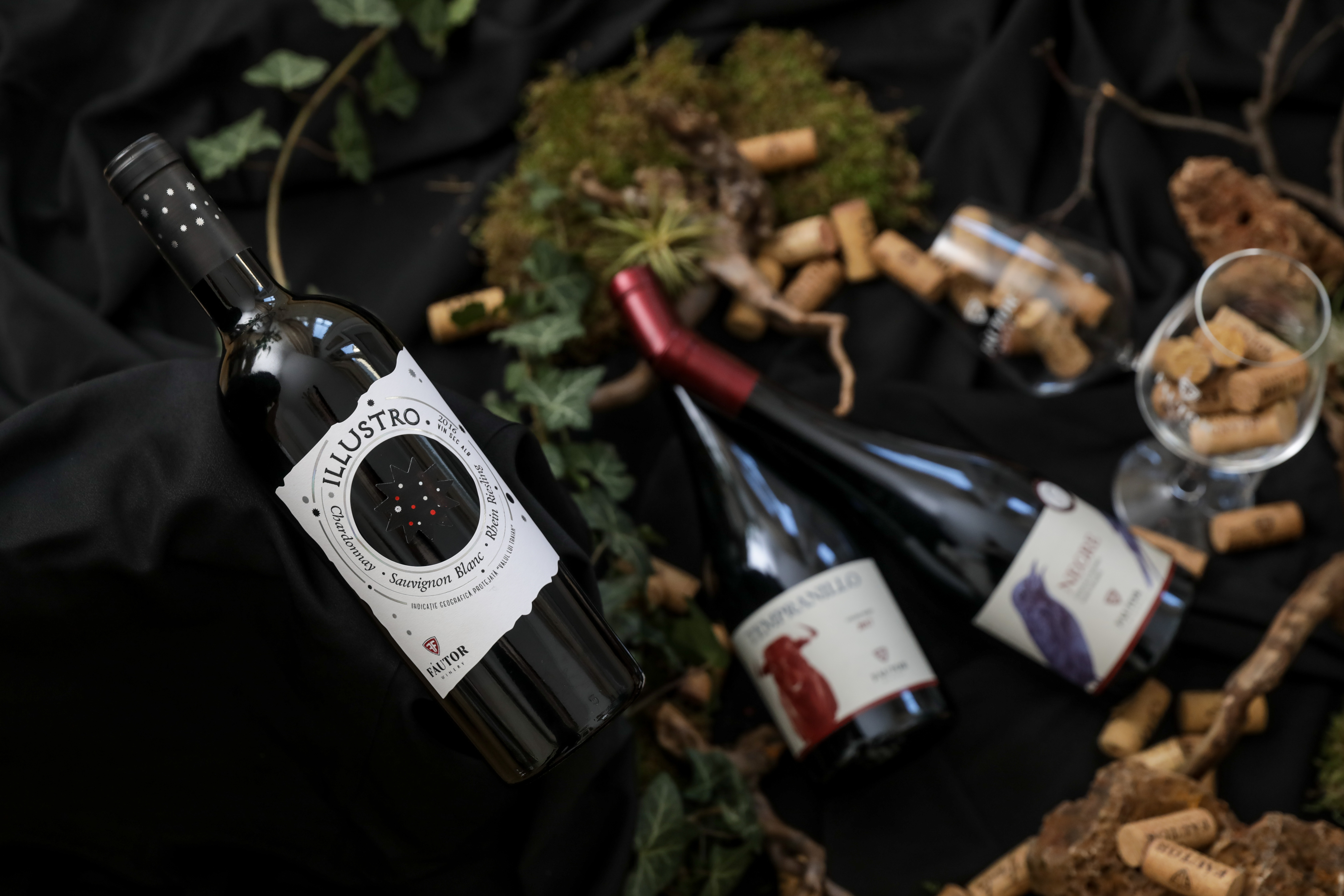 History of Fautor Winery