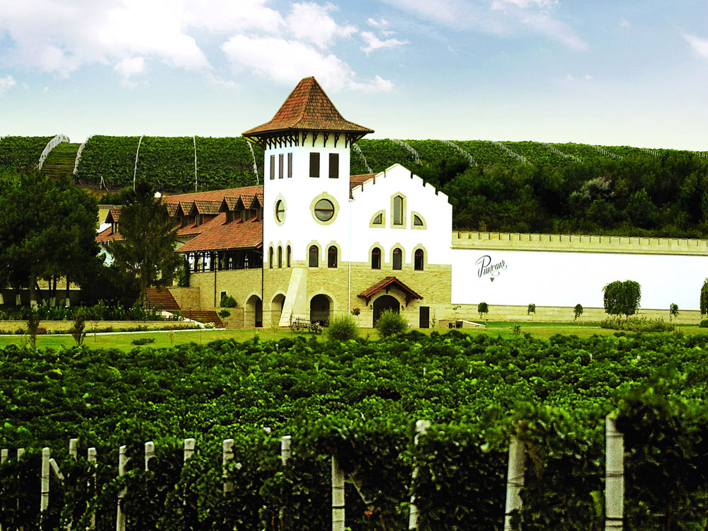 WINE TOUR Purcari