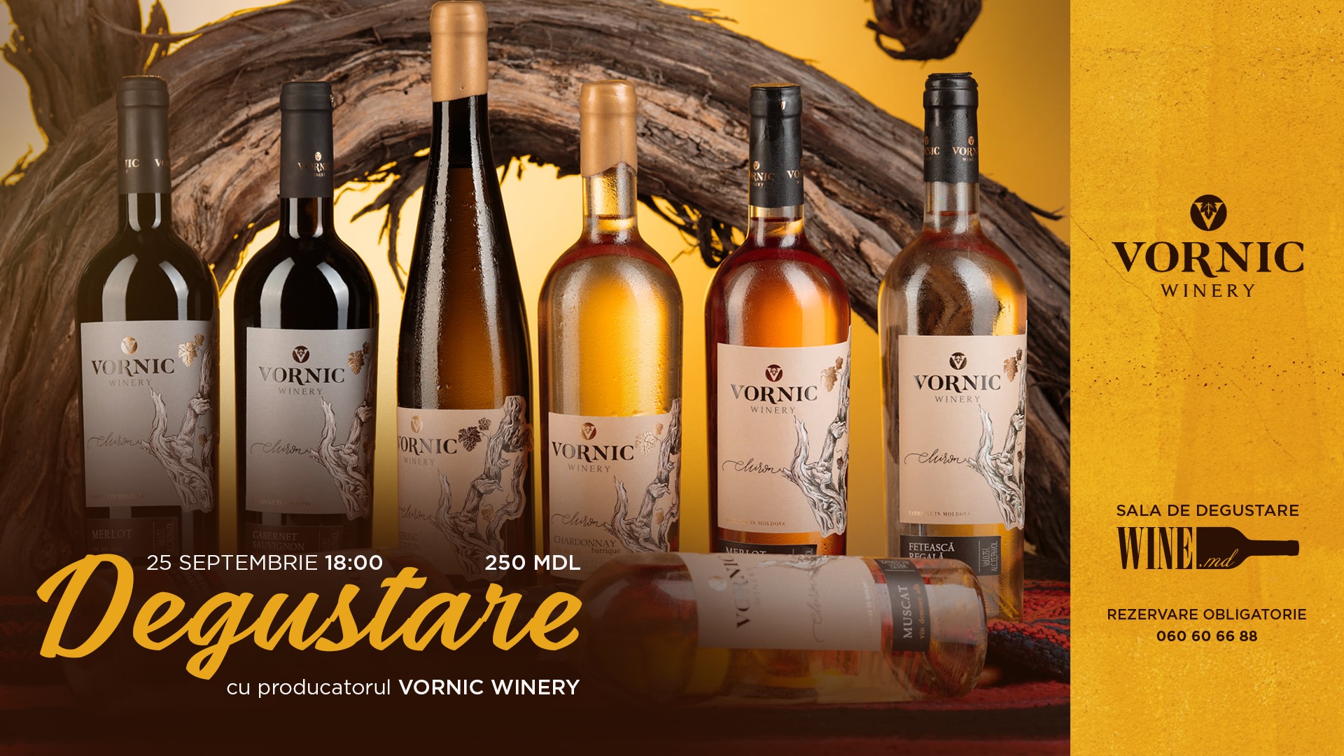 Degustare cu Producatorul Vornic Winery